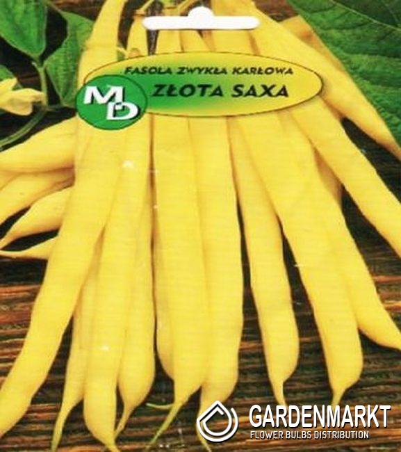 33 Bean Gold Saxa 50g