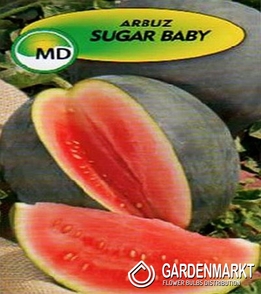 1 Watermelon Sugar Baby 1g