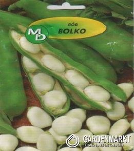 2 Broad Bean Bolko 50g
