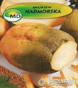 3 Rutabaga Seaside 5g