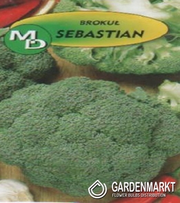 4 Broccoli Sebastian 1g