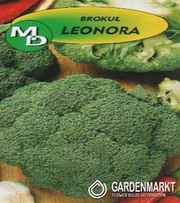 6 Broccoli Leonora 1g